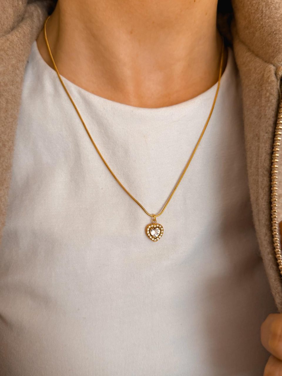 WhatsApp Image 2026-02-02 at 15.20.14