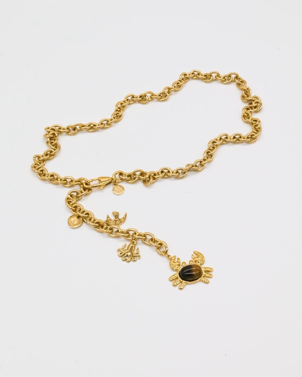 WhatsApp Image 2026-03-10 at 22.54.44 (3)