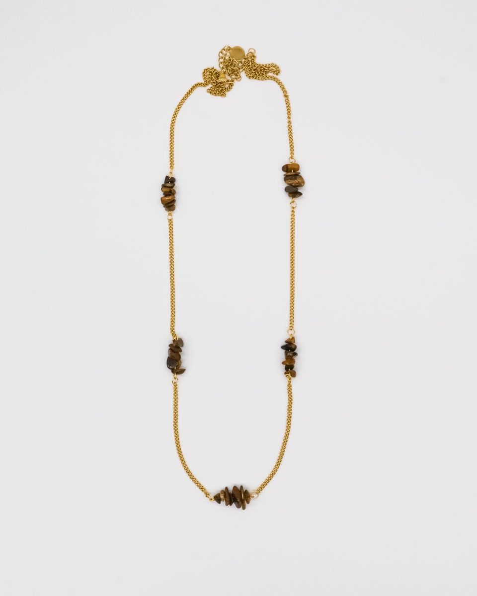 WhatsApp Image 2026-03-10 at 22.54.46 (1)