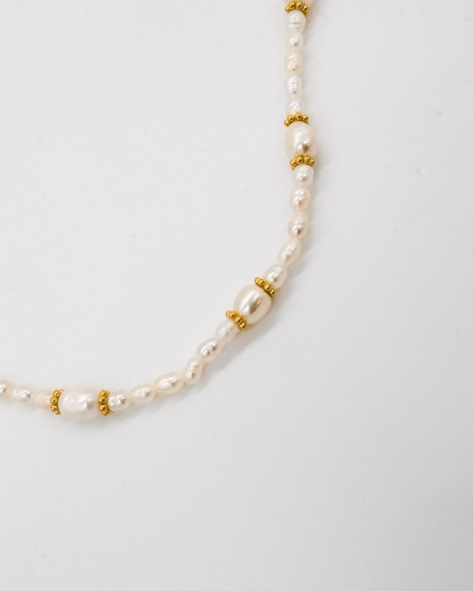 WhatsApp Image 2026-03-10 at 22.54.52